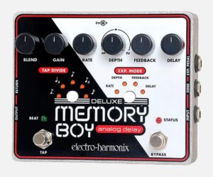 Electro-Harmonix / Deluxe Memory Boy
