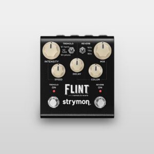 Strymon / Flint V2